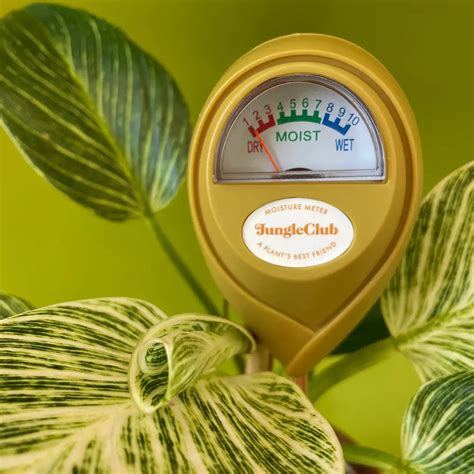 custom house plant moisture meter false high reading|contactless moisture meter false reading.